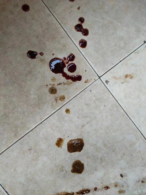 狗狗拉了一滩血水很臭