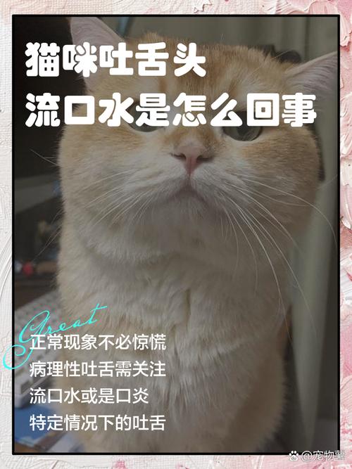 猫咪嘴巴闭不上,舌头伸在外面,一直流口水,闻着一股腐臭是怎么回事...