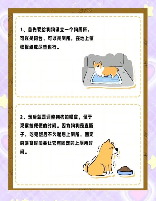 狗狗在家乱拉屎尿如何解决