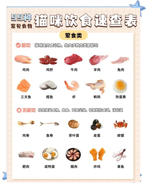 猫咪吃什么食物能长胖