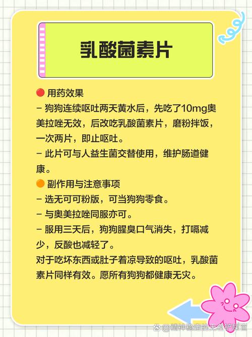 狗狗老是吐吃什么药好得快