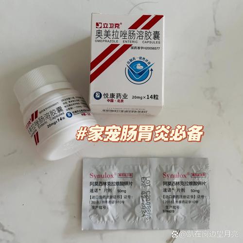 狗一直呕吐吃什么药