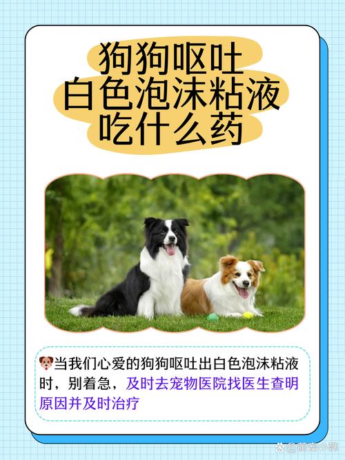 狗狗呕吐吃什么药?