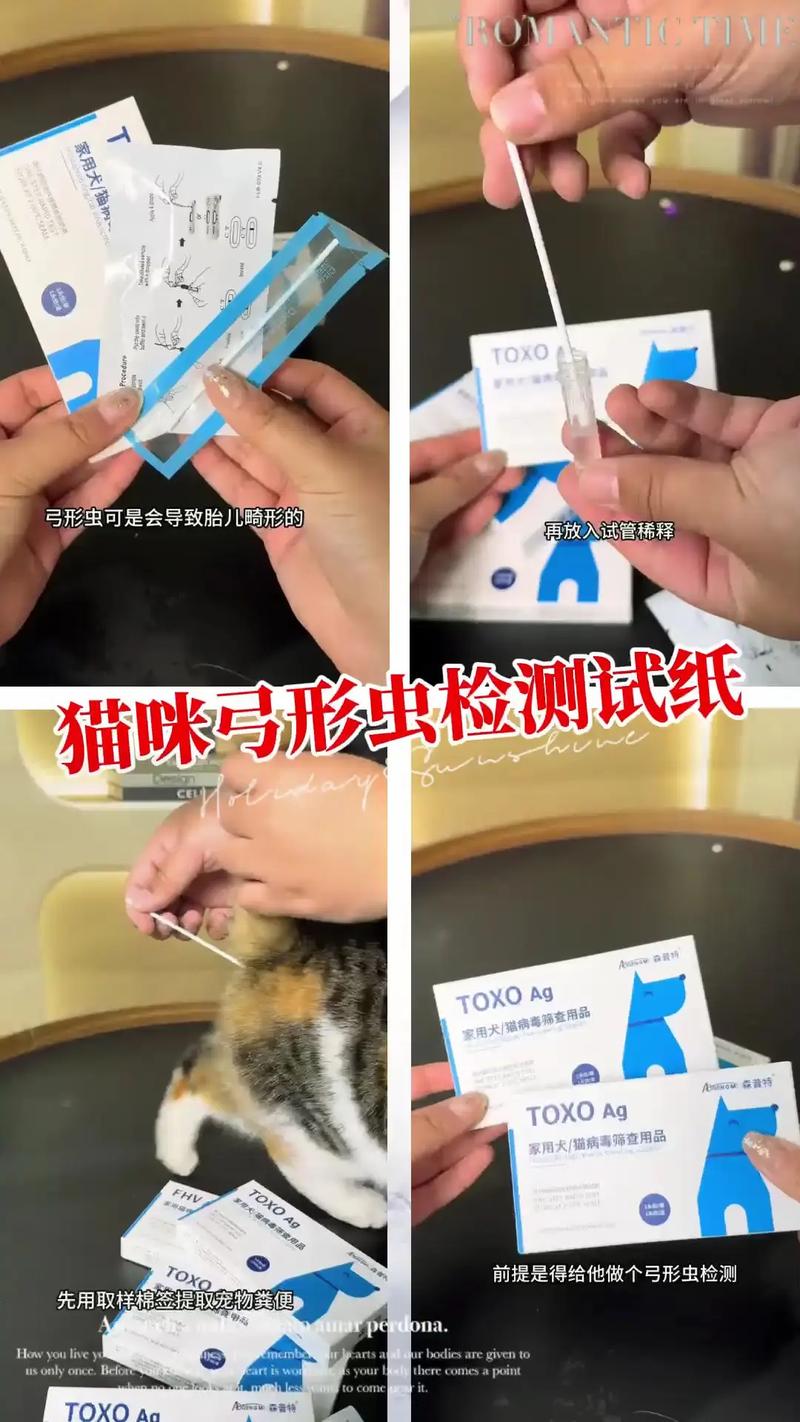 如何判断狗狗是否得了弓形虫病?