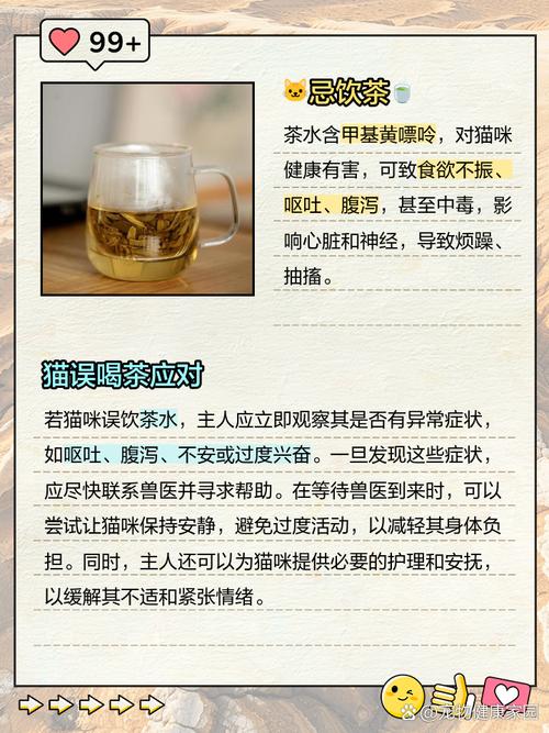 猫喝茶会怎样?