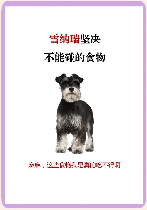 拉布拉多能不能喝牛奶粉