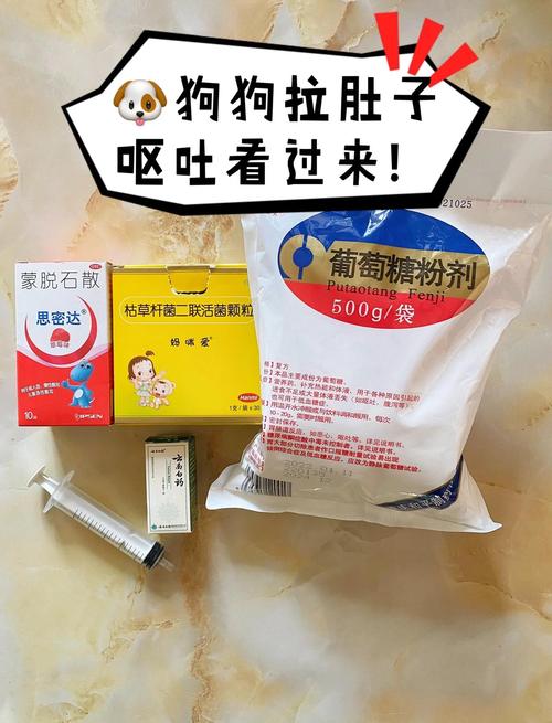狗狗又吐又拉稀吃什么药