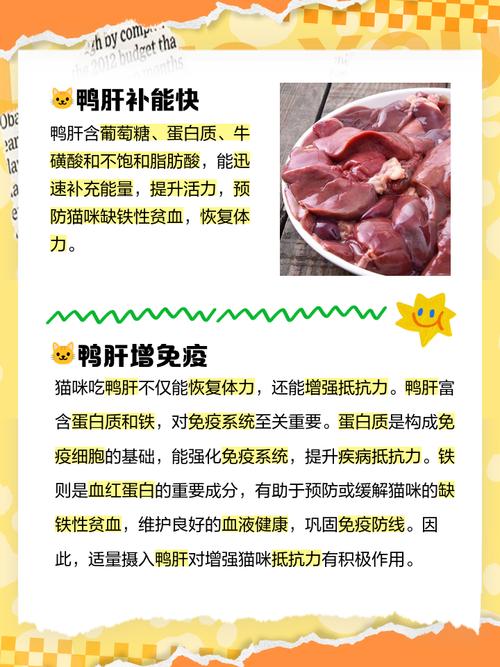 有哪些动物内脏适合喂猫?