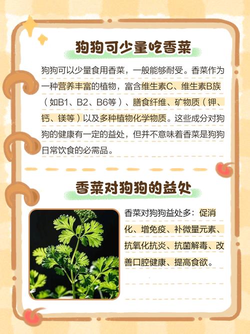 狗狗吃了香菜会怎么样?