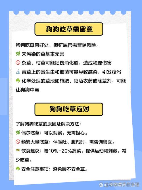 狗狗吃香菜是怎么回事?