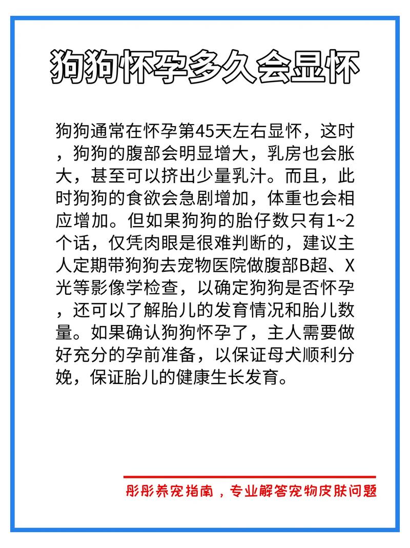 狗怀孕一个月看得出吗
