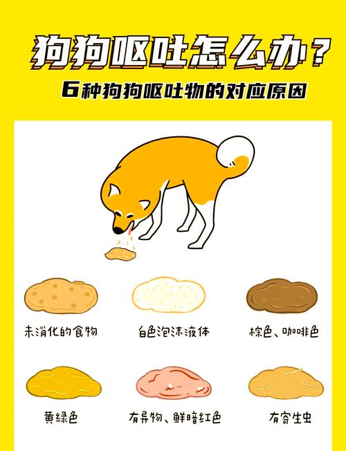 狗狗拉稀吐白沫怎么回事