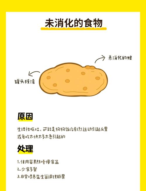 狗狗突然吐白沫,还拉稀是什么情况?