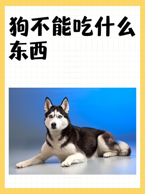 狗狗长时间吃熟羊血会咬人吗