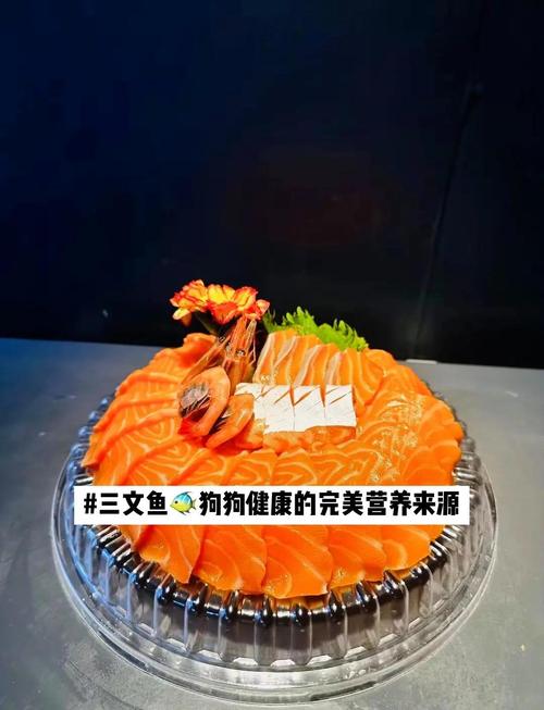 狗吃什么鱼不卡喉咙