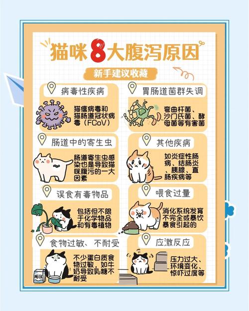 猫咪拉稀吃什么?猫拉稀原因有哪些?