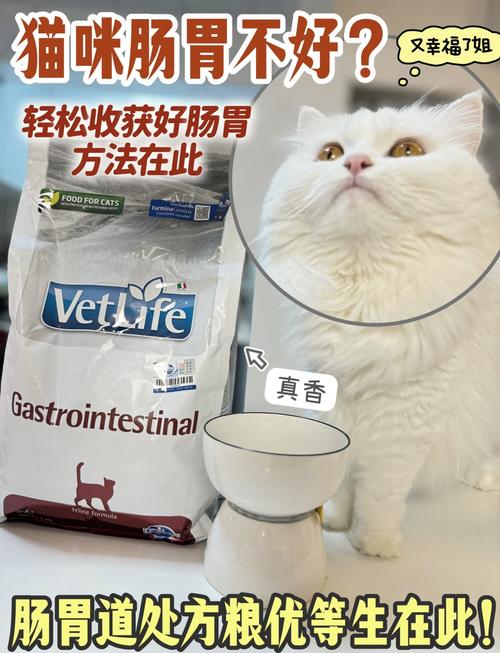 猫肠胃不好拉稀站不住了吃什么好