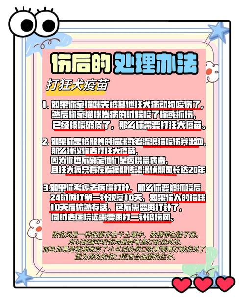 被猫抓了怎么办?