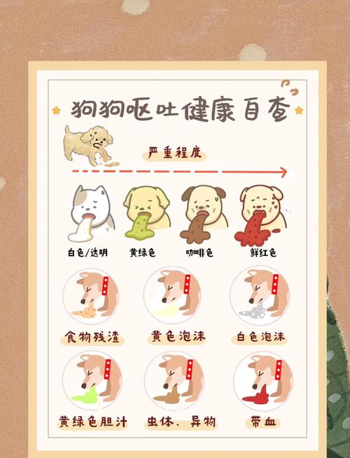 狗狗吃了东西一会就吐出来了怎么办