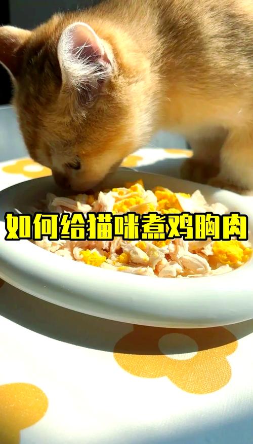 鸡胸肉怎么煮给猫咪吃