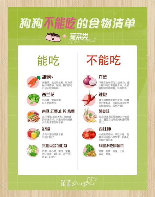 为什么我家狗狗不吃东西