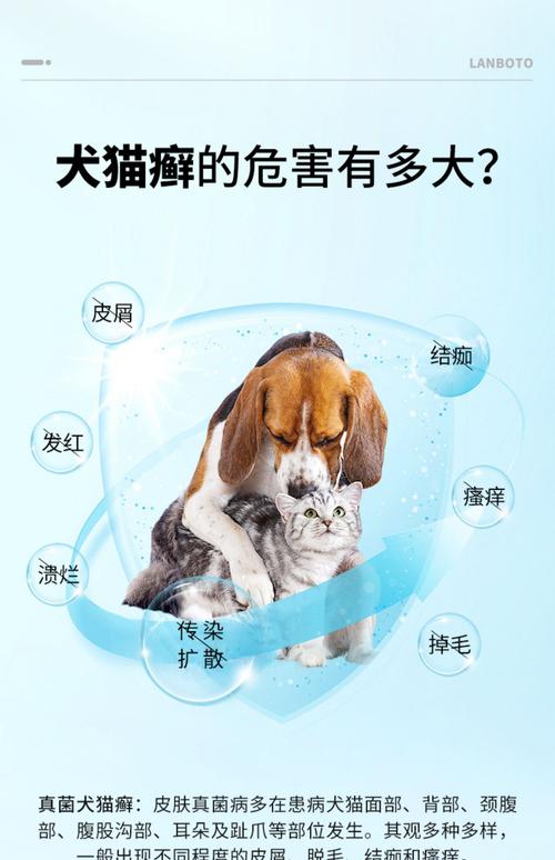 狗狗有皮屑用什么药