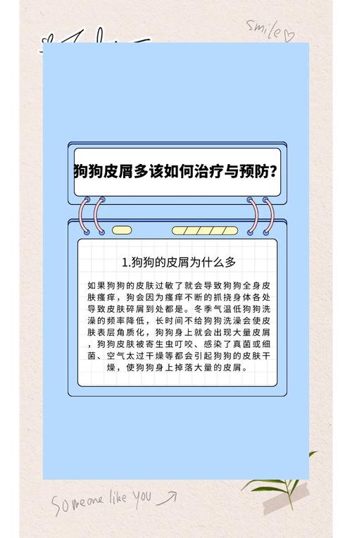 怎么去除狗狗身上的皮屑
