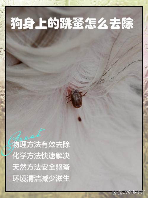 狗狗驱虫是什么意思