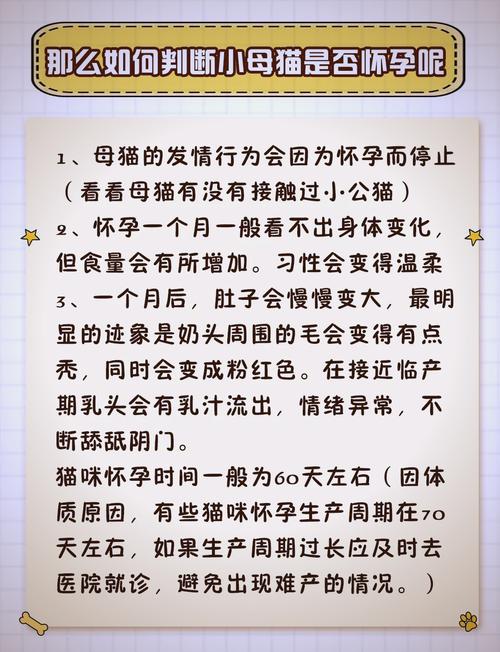 猫咪配种一般需要几天