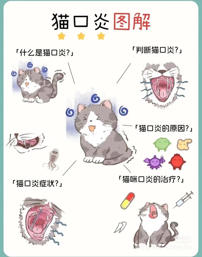 猫咪口炎的发病原因是什么