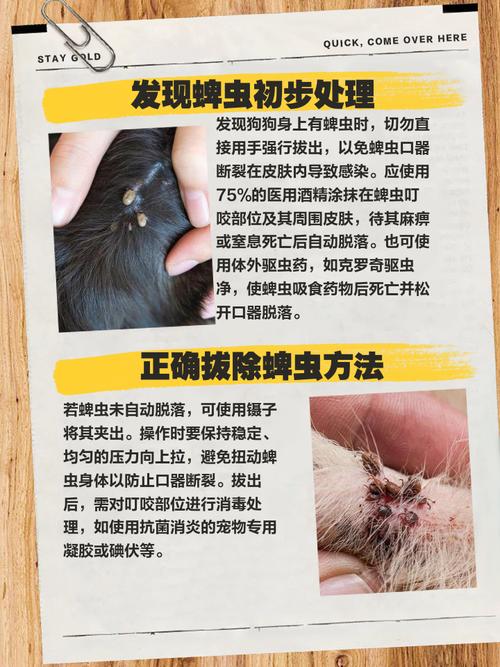 如何去除狗狗身上的蜱虫