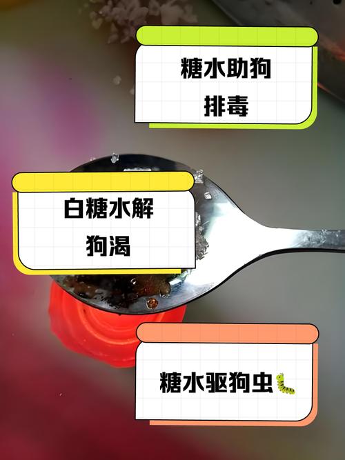 狗狗能吃白砂糖吗?