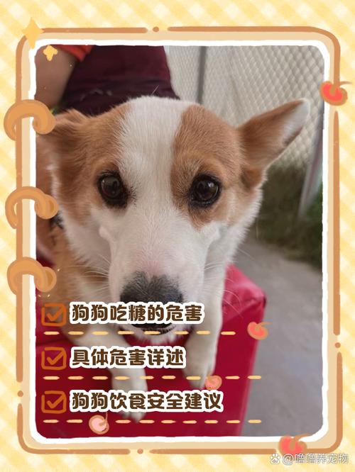 狗狗可以吃白糖吗