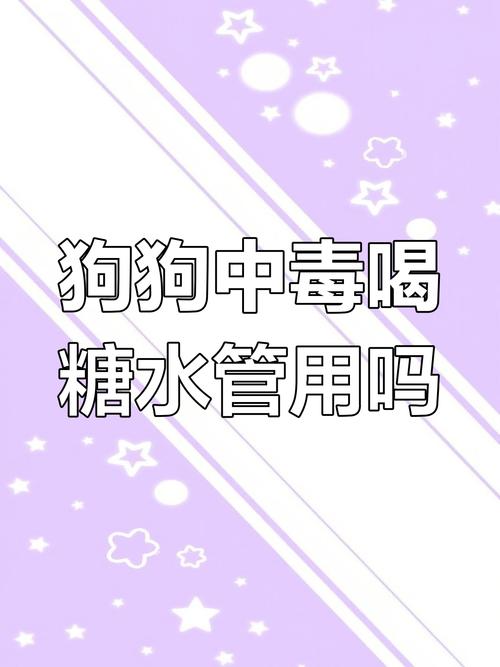 狗狗喝白糖水有什么用