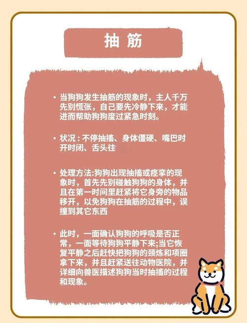 我家狗抽筋,怎么办?