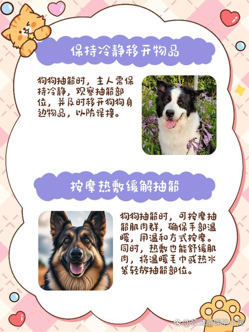 狗狗的后腿抽筋了,该怎么办?