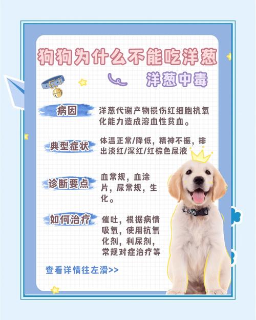 狗狗为什么不可以吃葱?