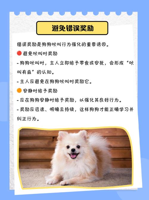 怎么样才能让我家的狗狗不乱叫