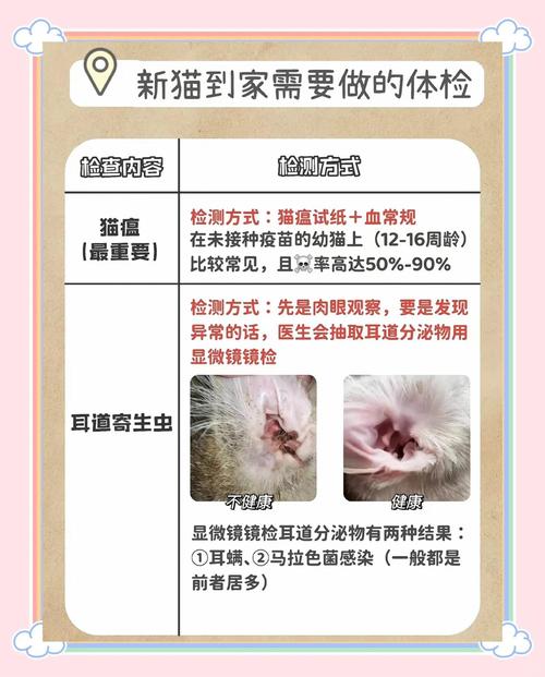 猫咪多大开始需要体检?