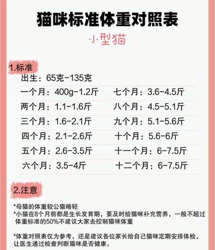 猫多久体检一次