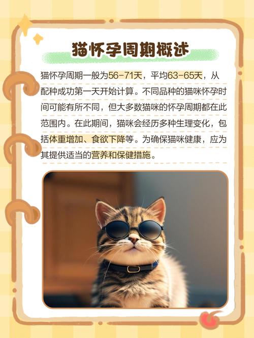 猫咪配几次才可以怀孕