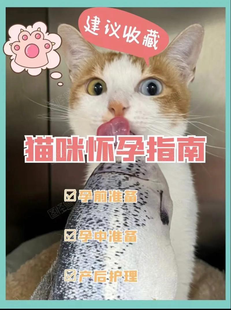 猫咪配几次才能怀孕