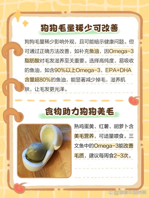 泰迪狗狗毛稀怎么办,狗狗毛发稀疏吃什么