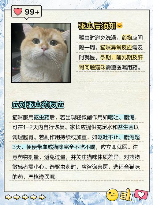 猫吃完驱虫药后反应
