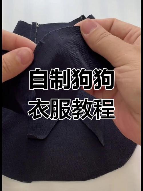 怎么给狗狗做衣服