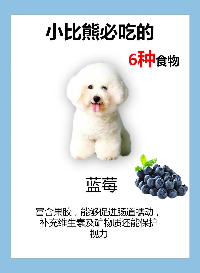 很小的狗狗吃什么比较好