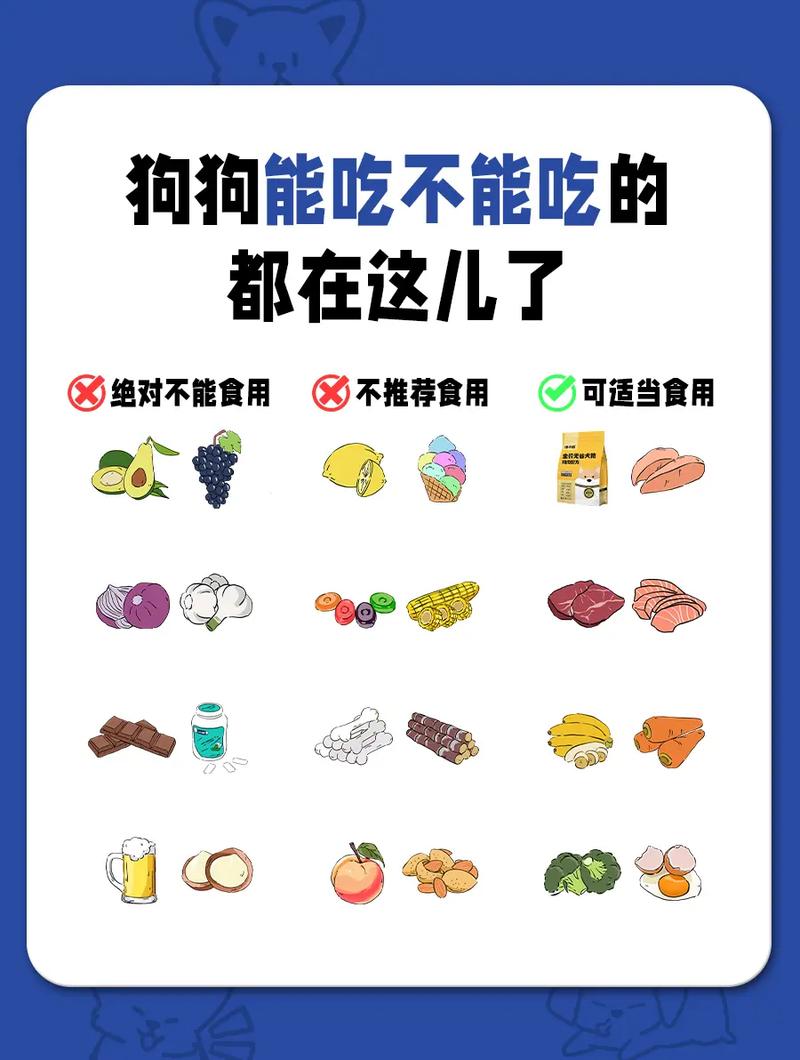 狗狗小的时候给它吃什么好呢?