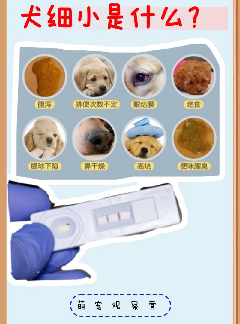 狗狗都两岁了还会细小吗