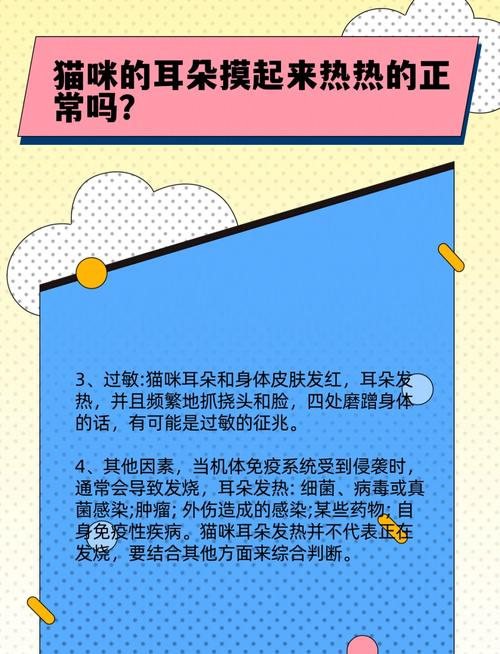 猫耳朵发热怎么回事