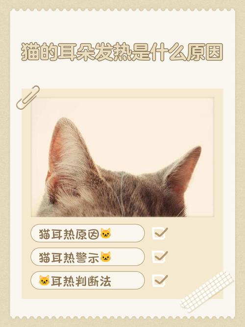 猫咪耳朵烫烫的,手脚没那么烫,很精神活蹦乱跳,吃东西胃口大。鼻子干干...